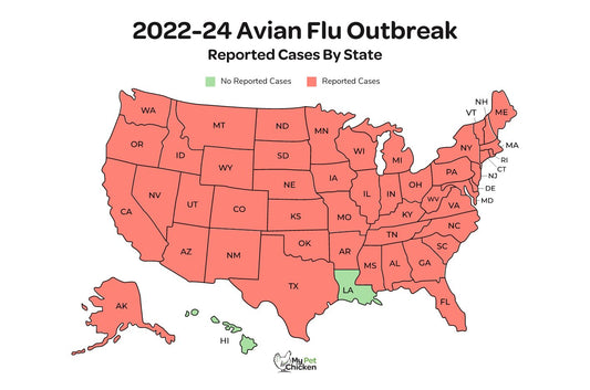 Avian Flu Outbreak - US Map