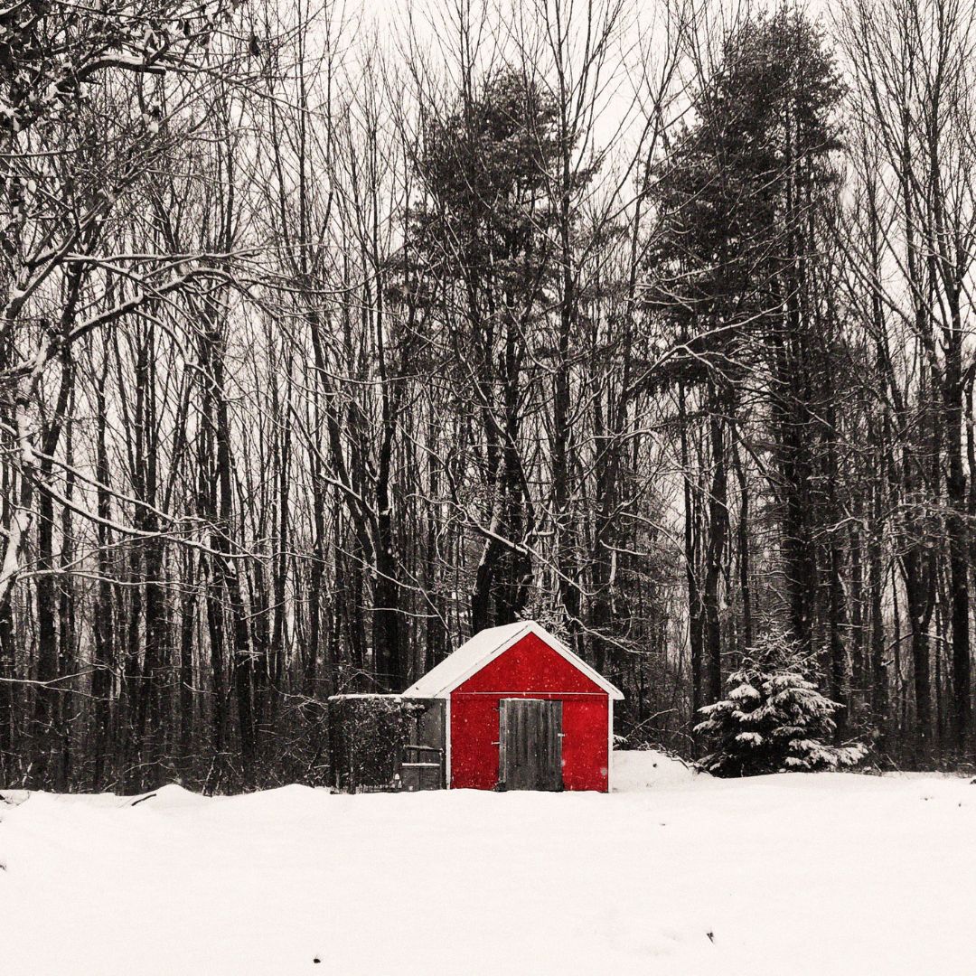 We don't recommend you offer supplemental heat to your coop unless your temps regularly drop well below freezing