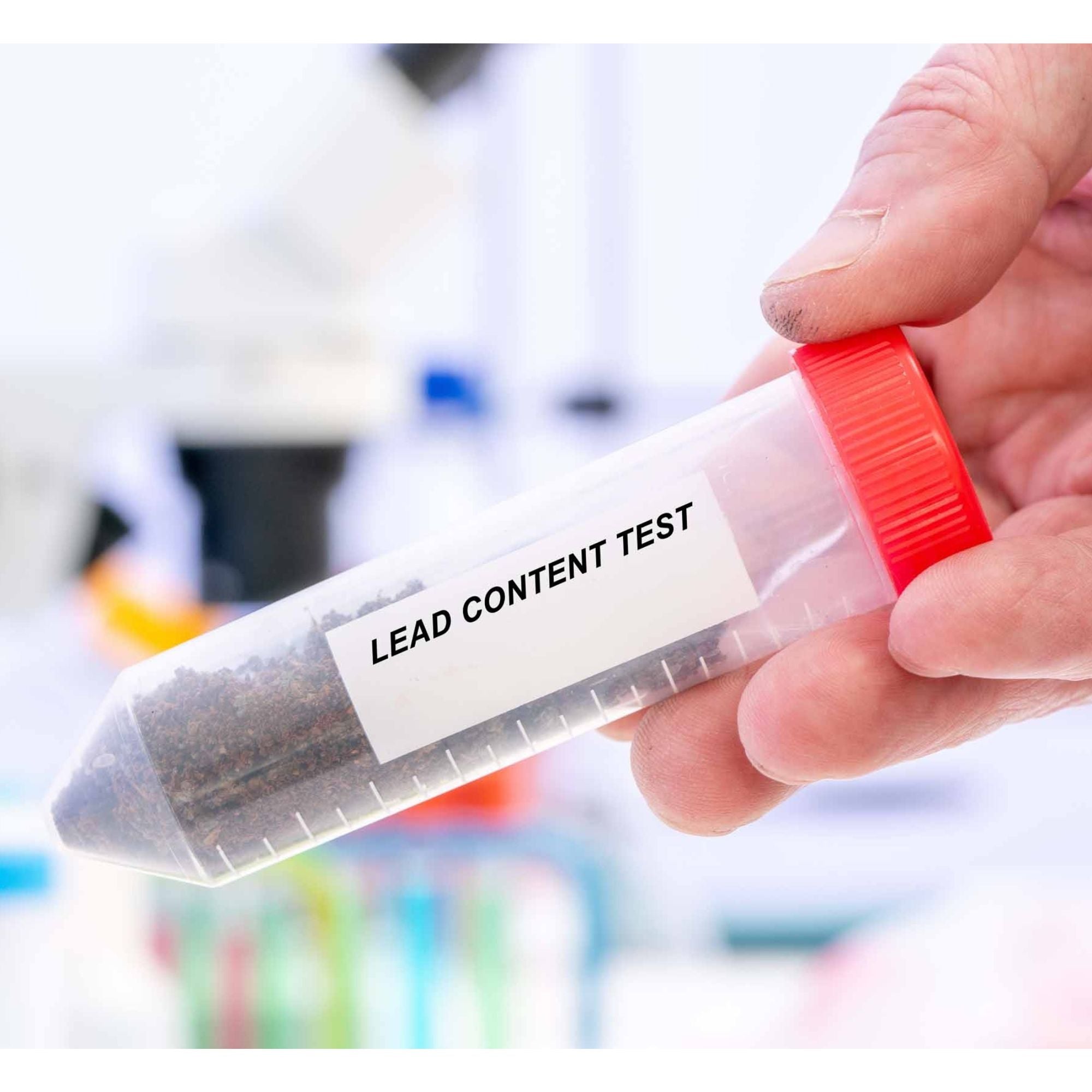 Invest in a soil testing kit if lead is a problem in your area. 