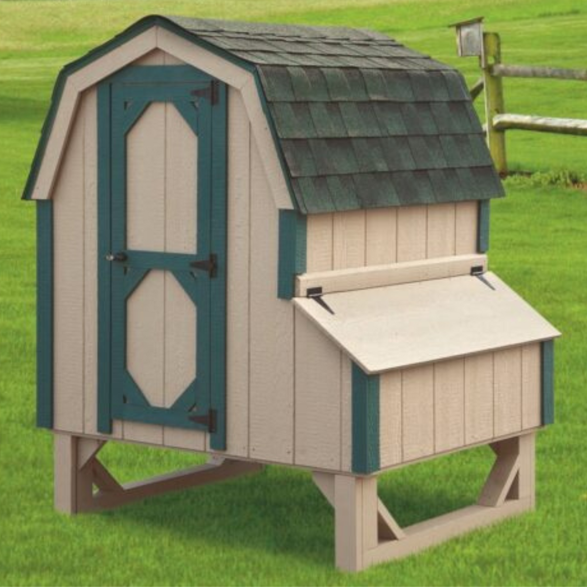 Custom Amish-Built Dutch Style 4'x4' Chicken Coop