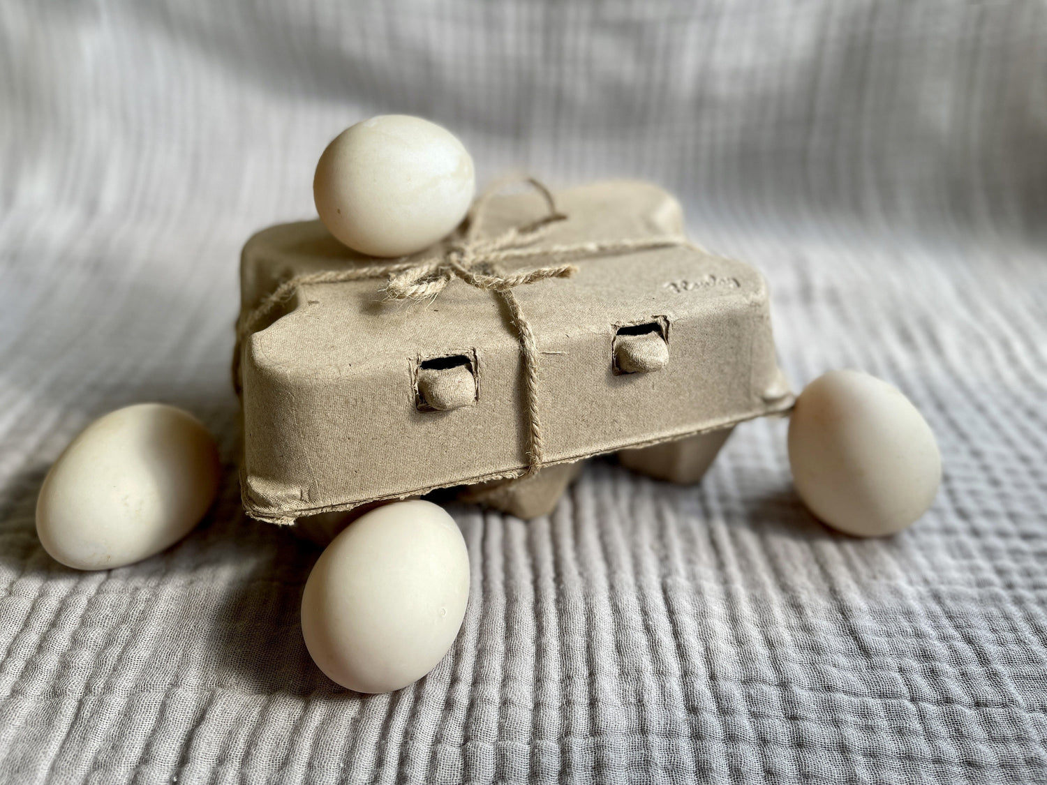 Henlay Duck Egg Cartons