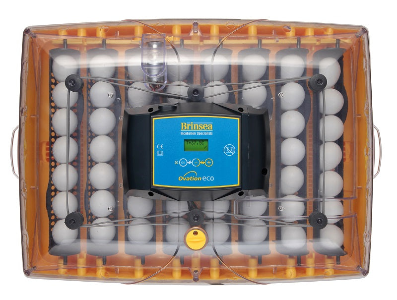 Ovation 56 Eco Digital Incubator (56 Eggs)