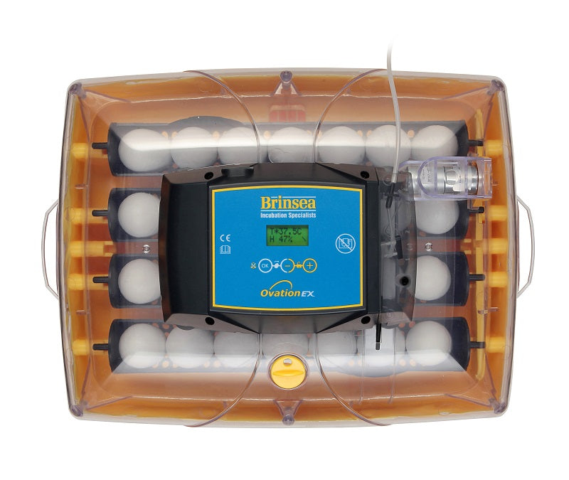 Ovation 28 Ex Fully Automatic Digital Incubator (28 Eggs)