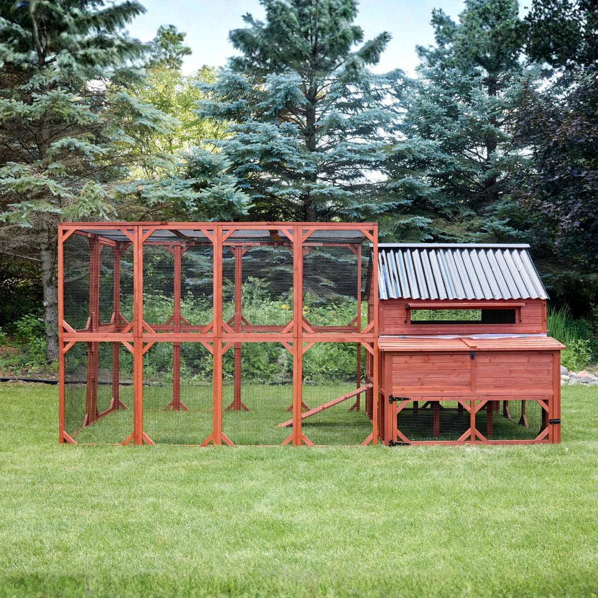 Brahma Chicken Coop + Optional Run (15-18 chickens)