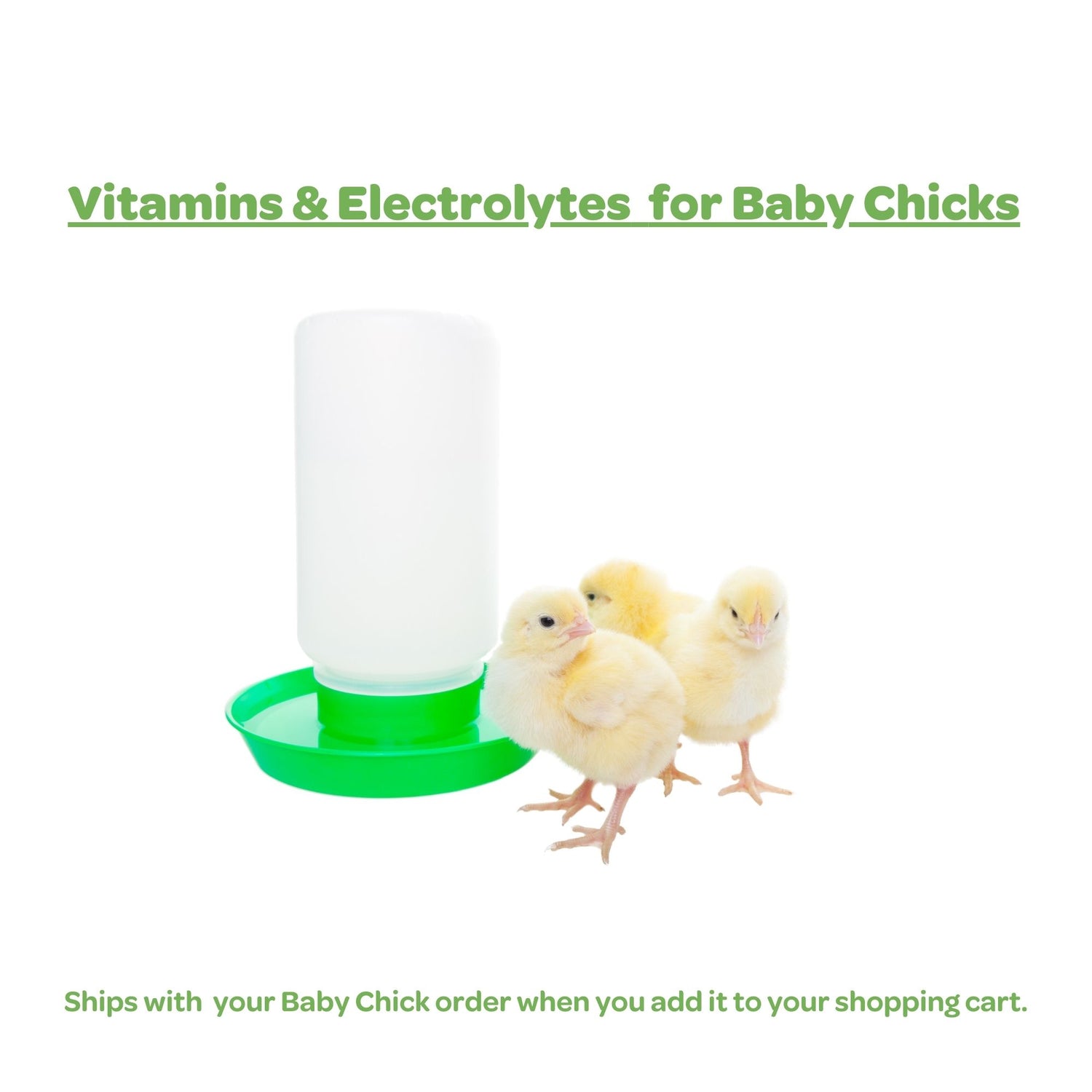 BVS Vitamins and Electrolytes, 4 oz Concentrate: Chick Order Add On