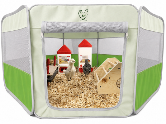 My Pet Chicken Hen Pen Pop-Up Brooder