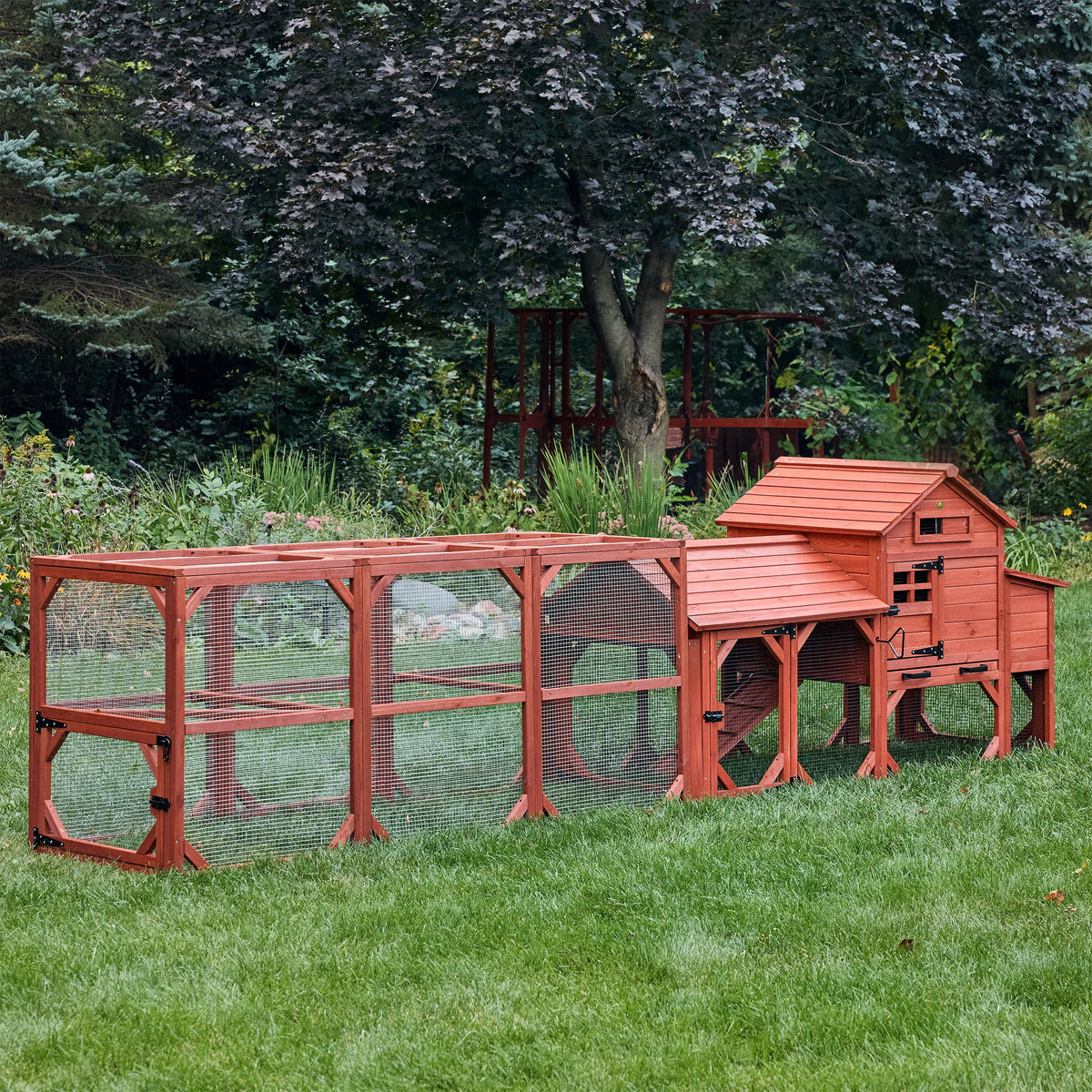 Leghorn Cottage Chicken Coop + Run (3-4 chickens)
