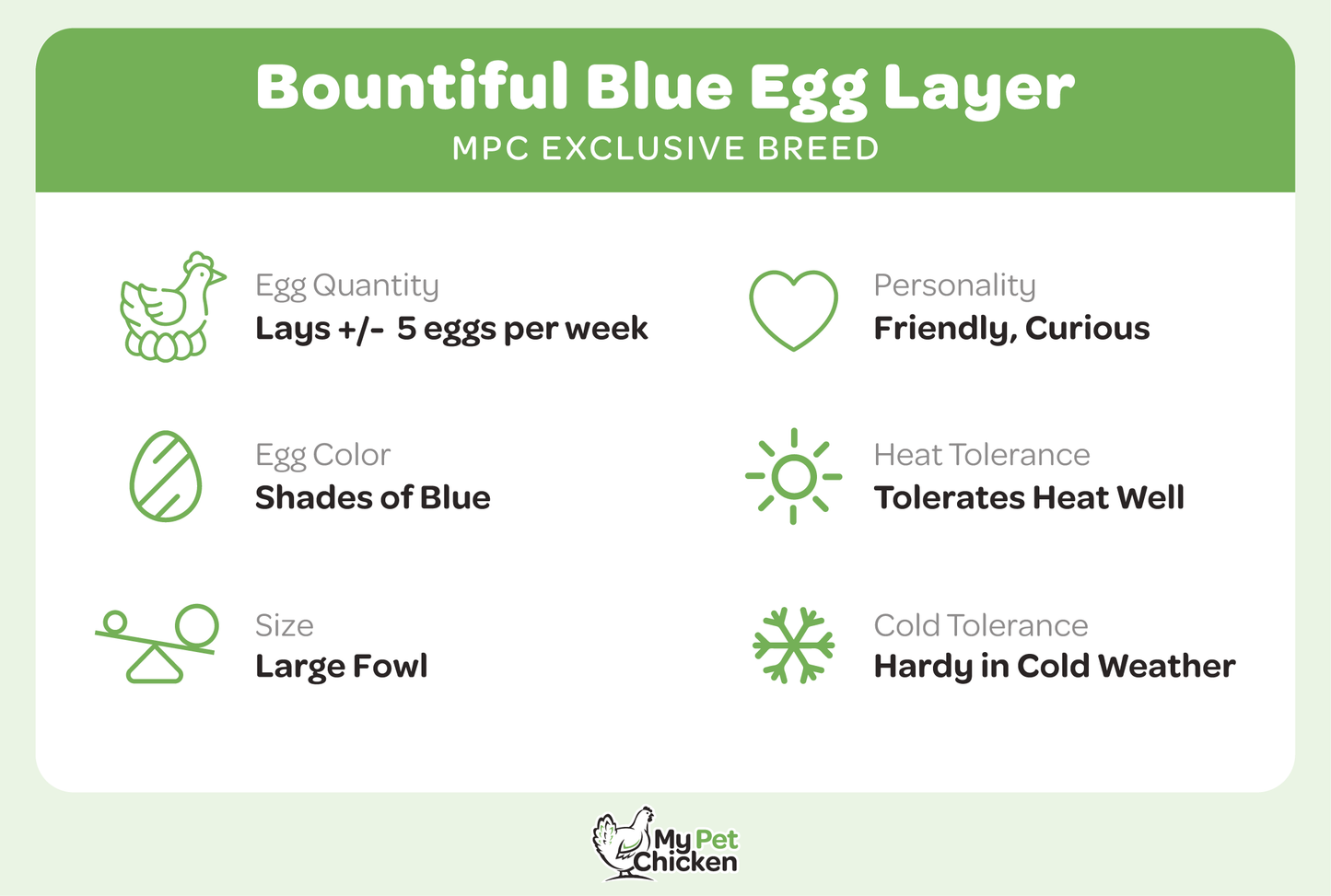 Pullet: Bountiful Blue Egg Layer, Shipping Week of
