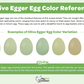 Hatching Eggs: Olive Egger Assortment, Hen Haven Location