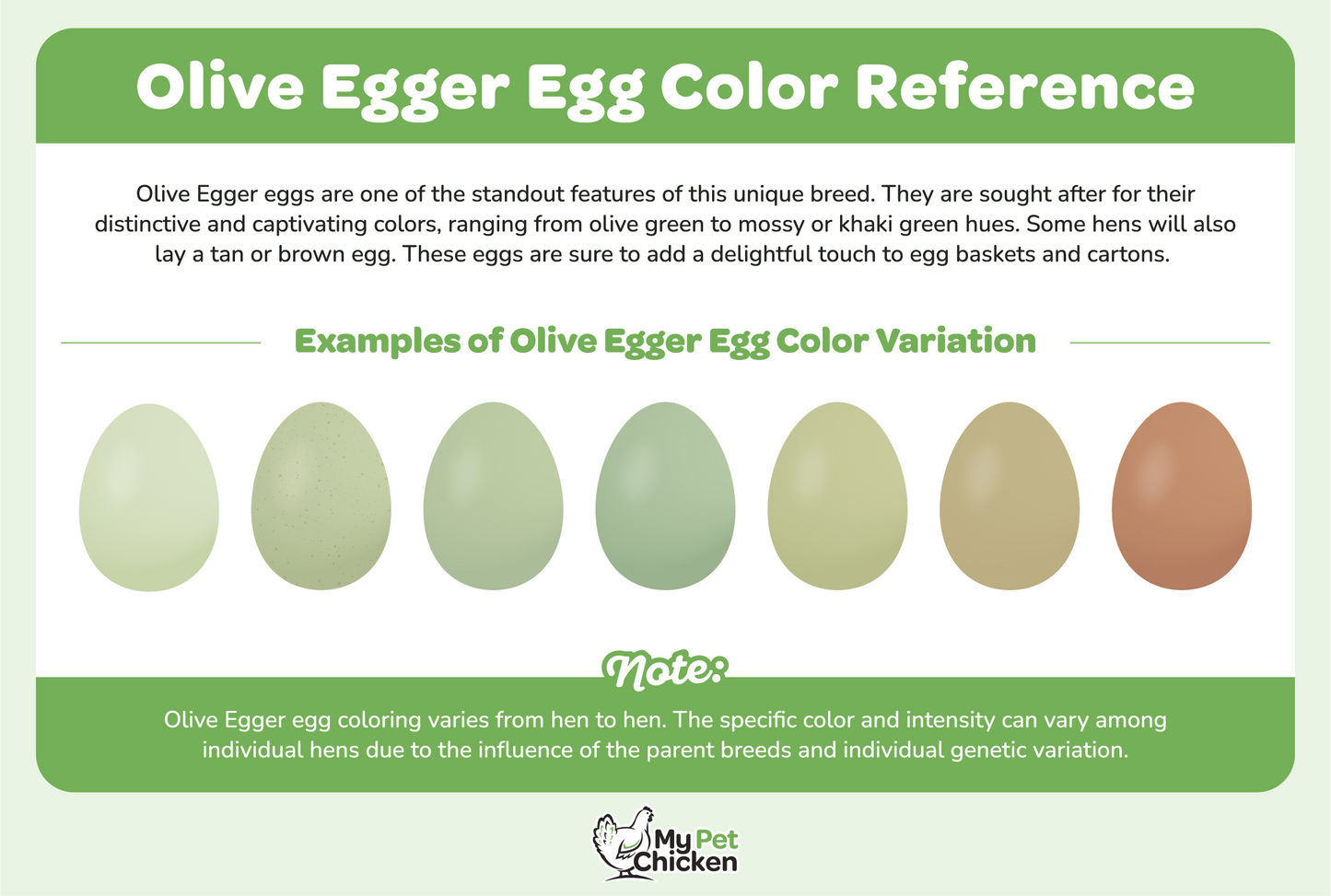 Hatching Eggs: Olive Egger Assortment, Hen Haven Location