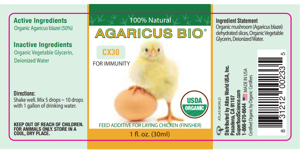 Agaricus Mushroom Extract for Immune Health, 1 oz.