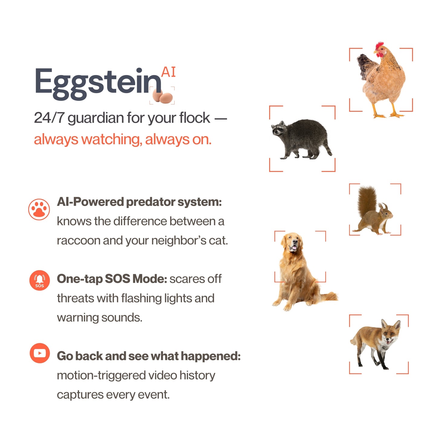 EggsteinAI Smart Coop Cam