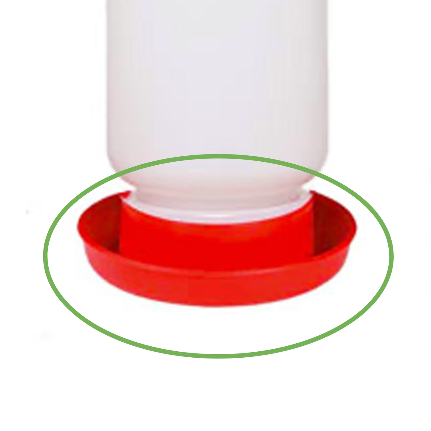 Small Waterer Base for Bantam Chickens, Guinea Keets, and Quail