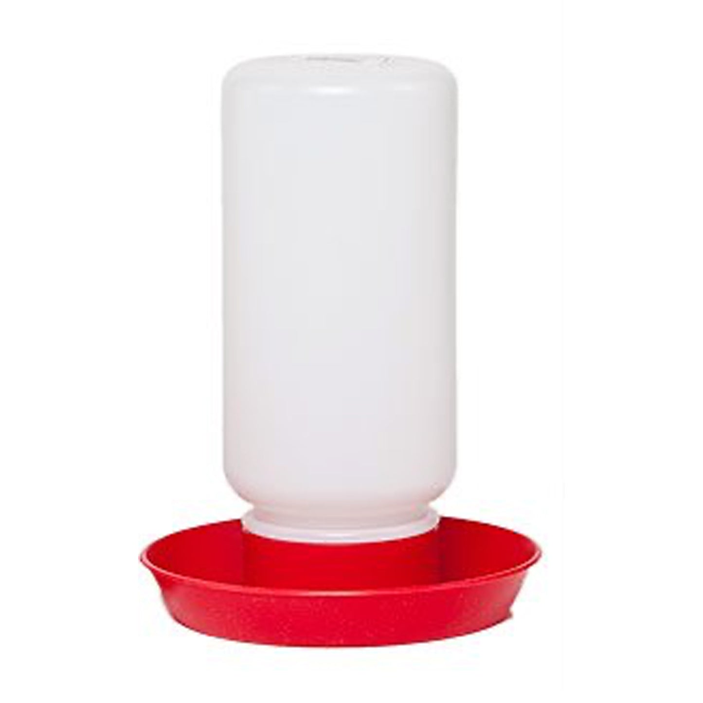 Chick Waterer with Plastic Base