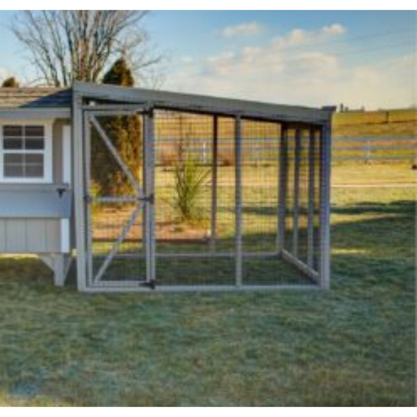 Custom Amish-Built 6'x8'x6' Chicken Run with Roof