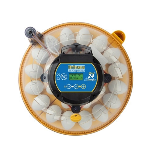 Maxi 24 Zoologica - Exotic Egg Incubator