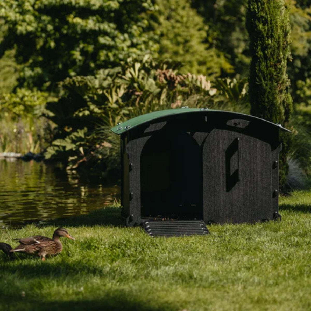 Nestera Duck & Goose House (Up to 8 ducks)