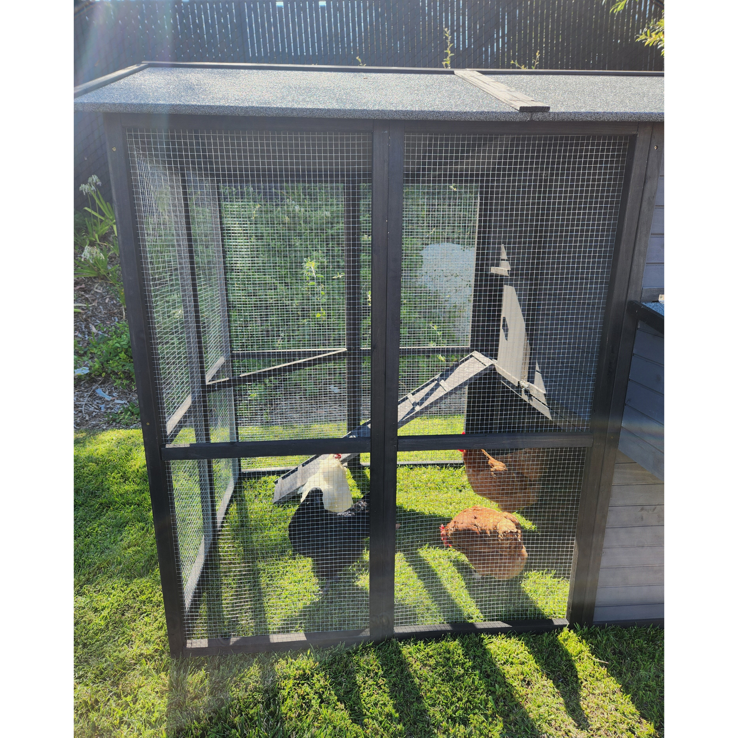 Pueblo Grande Chicken Coop, Grey & Black