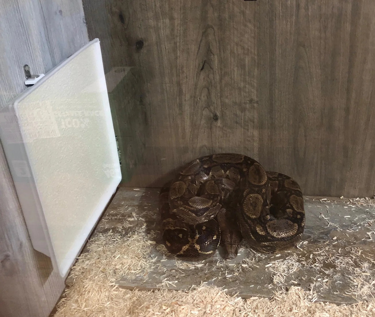 Sweeter Heater Coop & Brooder Heater (4 sizes)