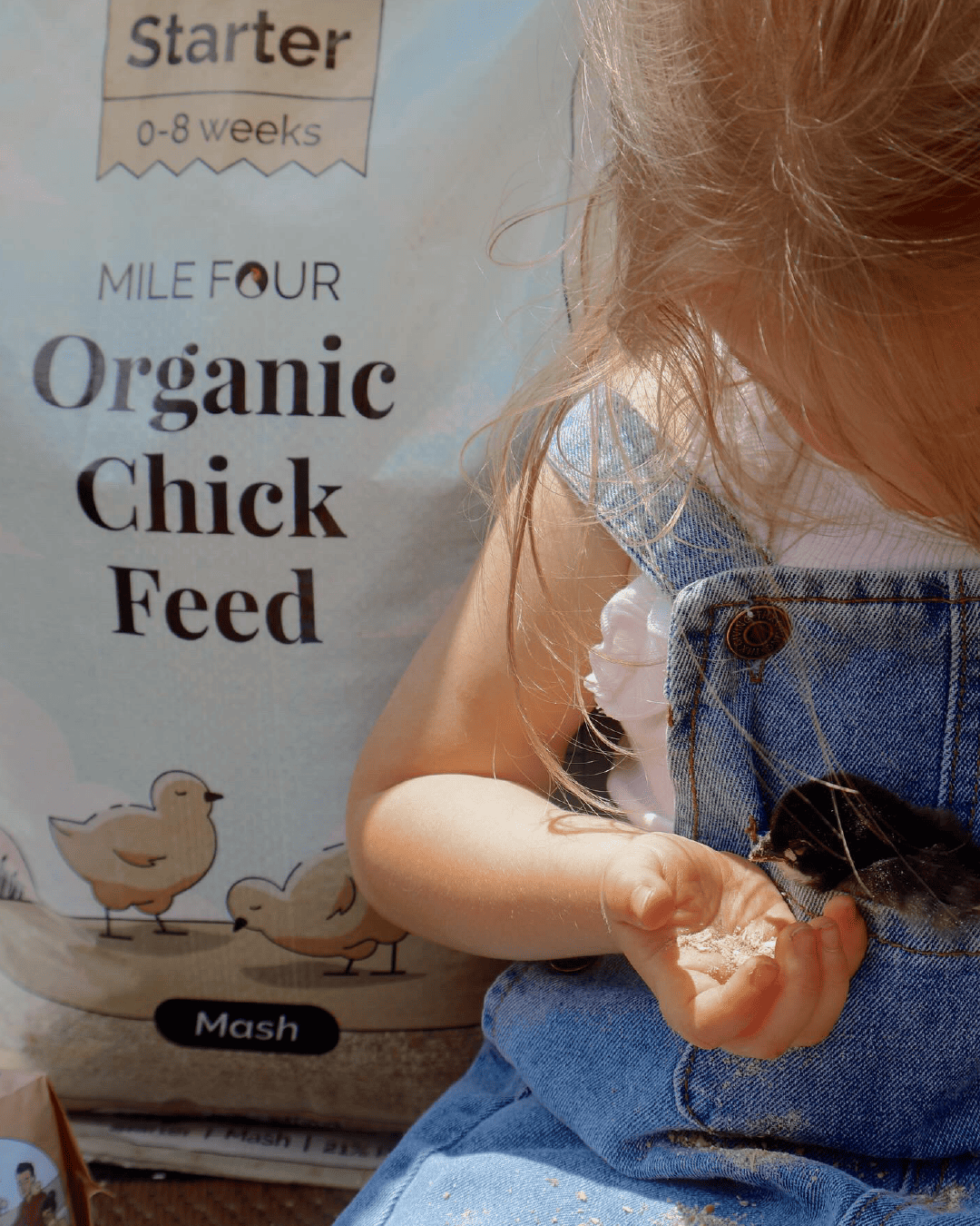 Mile Four Starter Organic Chicken Feed