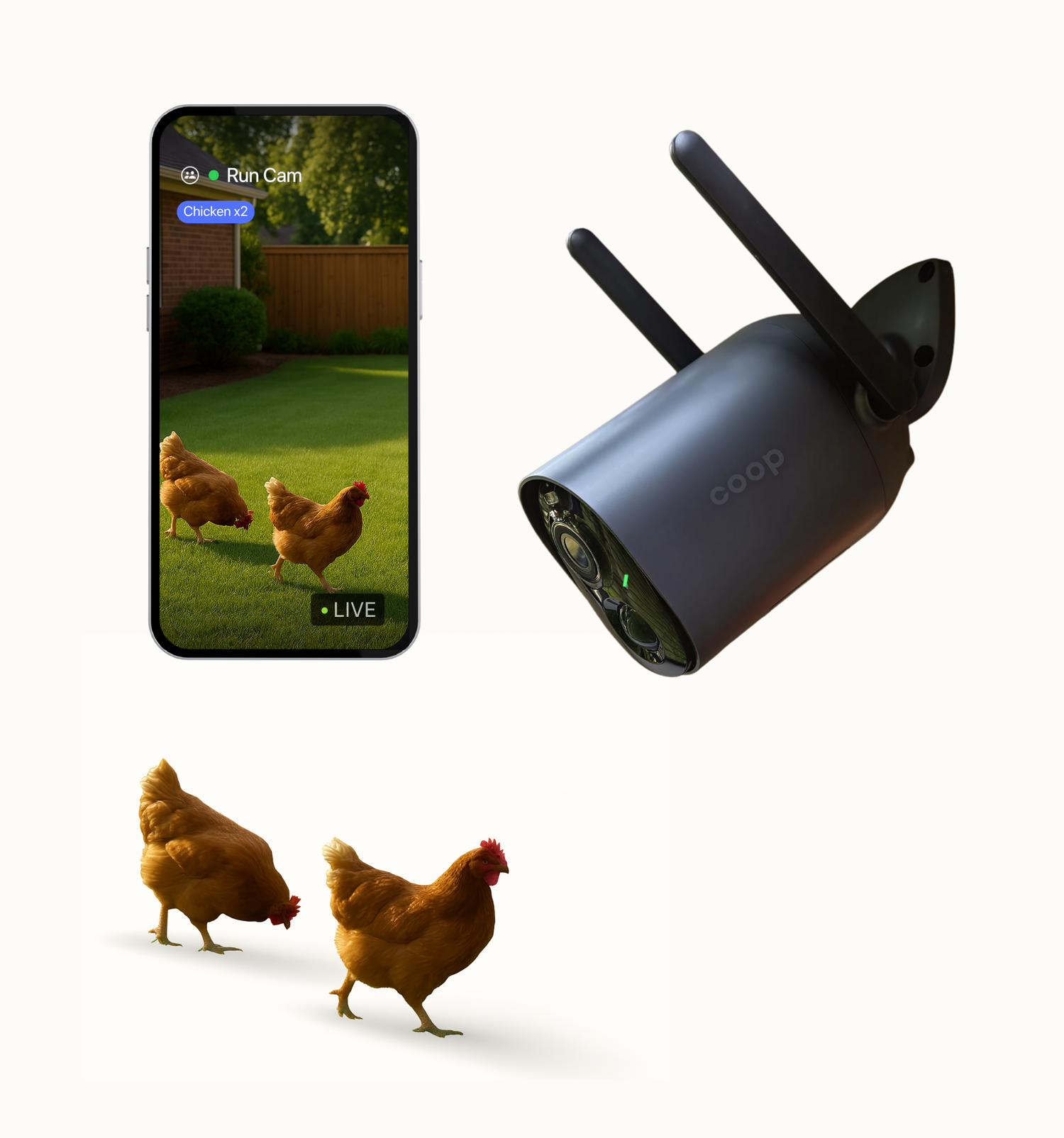 EggsteinAI Smart Coop Cam