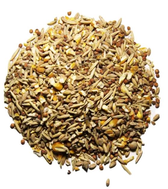 Organic Scratch (see options)