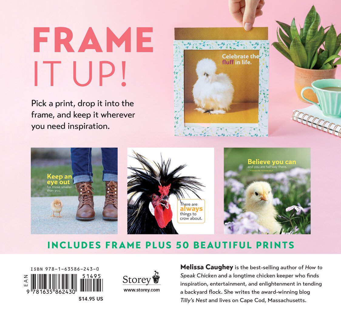 Chicken Wisdom Frame-Ups