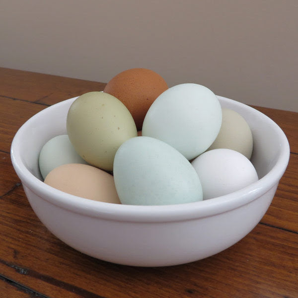 Hatching Eggs: "All Aces" Assortment, Hen Haven Location
