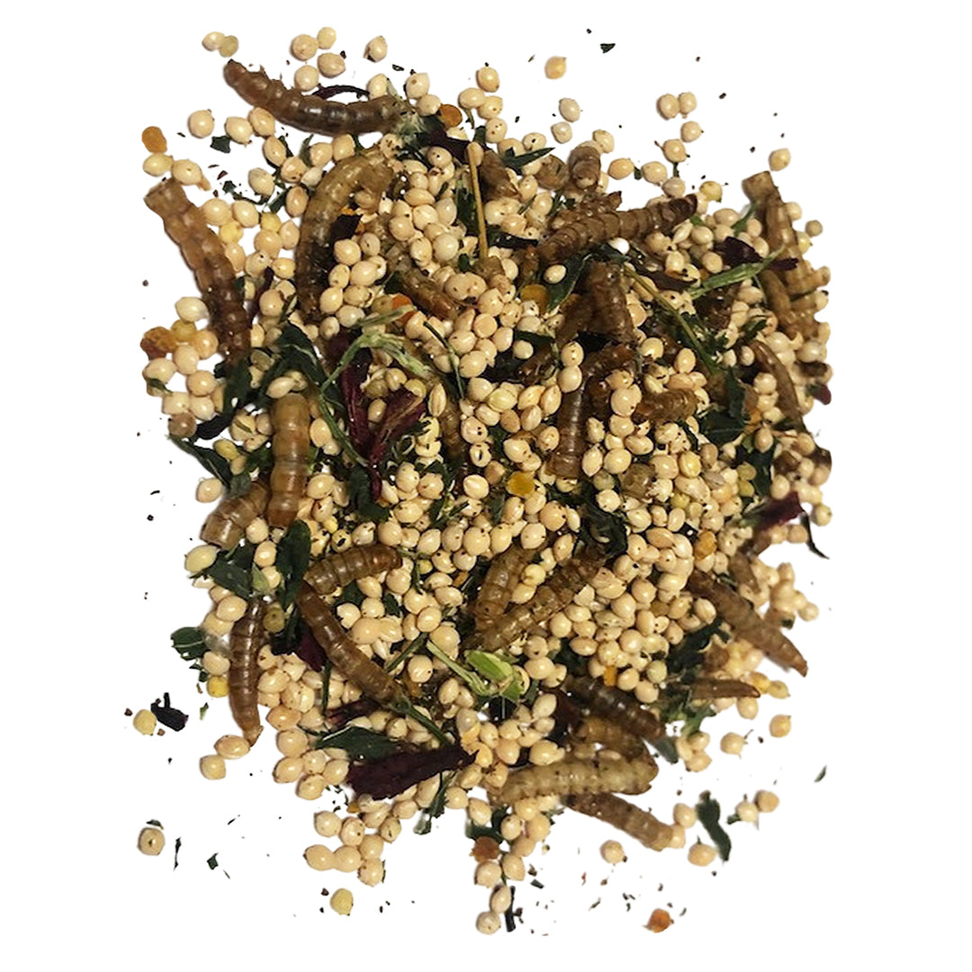 Grains for Vitale Molt and Laying Blend