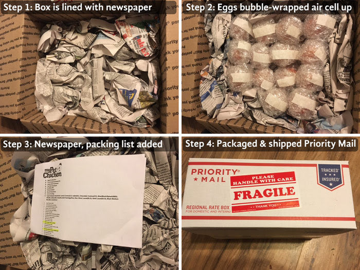 4 Dozen Assorted Hatching Eggs