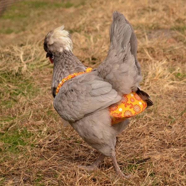 Chicken Diaper - Removable Liners Available