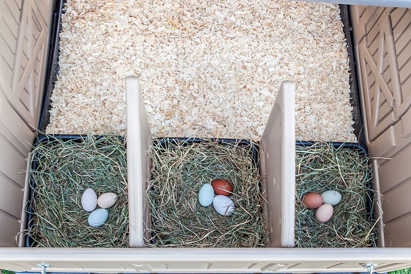 Nesting box for the Snap Lock Coop by Formex