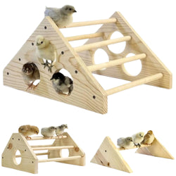 Baby Chick jungle gym