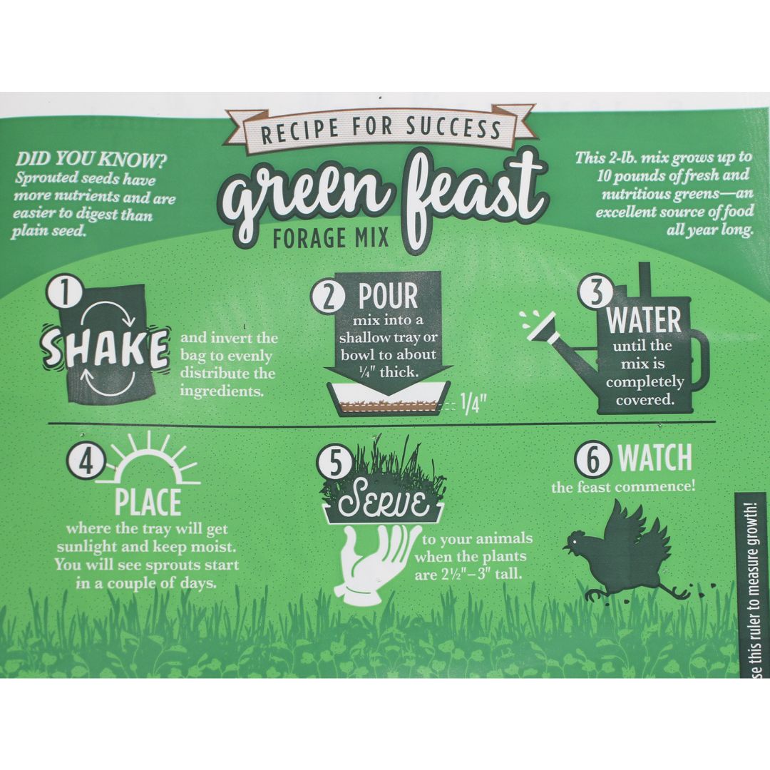 Amturf Green Feast Forage Mix directions.