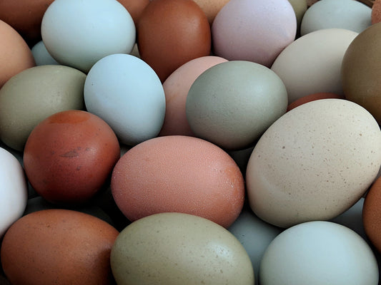 Egg color: 3 myths busted