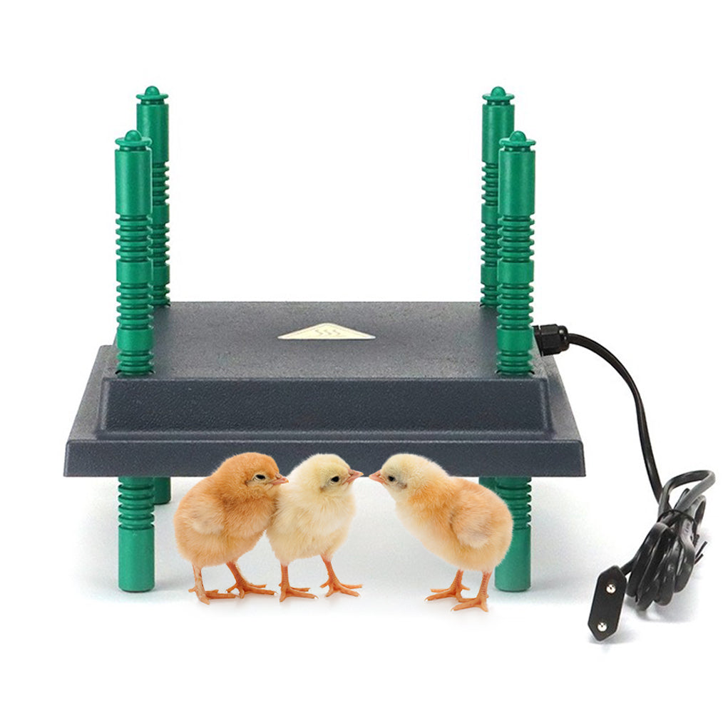 How to use a Brooder Heating Plate for baby chicks. - My Pet Chicken