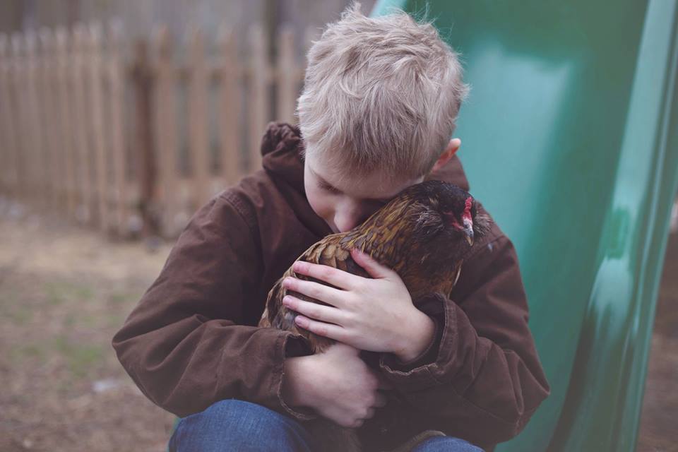 5 Ways To Teach Life Skills to Kids with a Flock