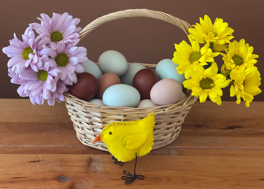 DIY Easter Craft - Felt Chicken