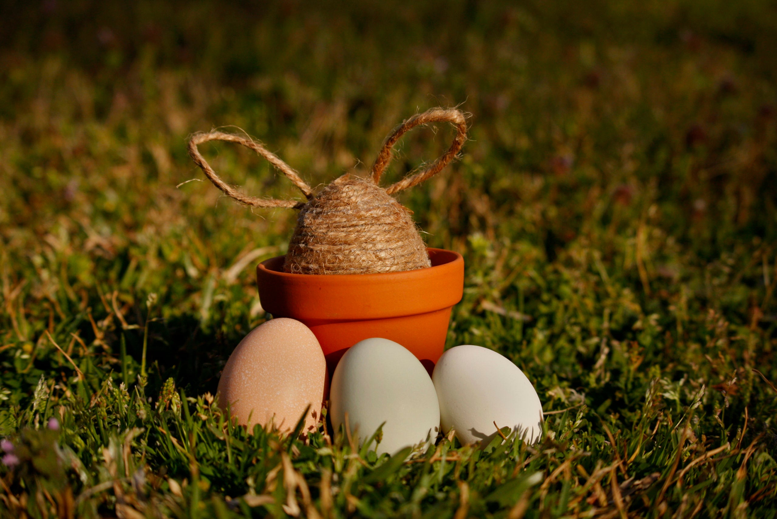 Jute Bunny Egg Easter Craft