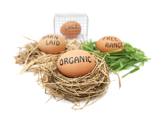 Grocery store egg labels: what they REALLY mean