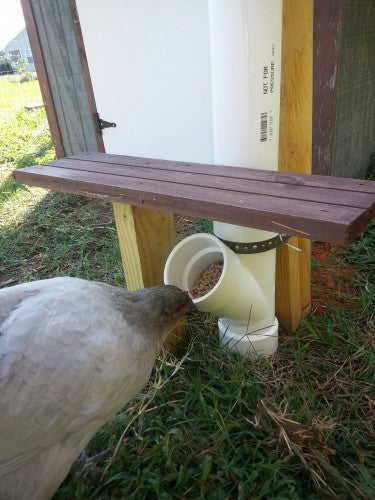 How to easily make a chicken feeder 2. My 3 tips 