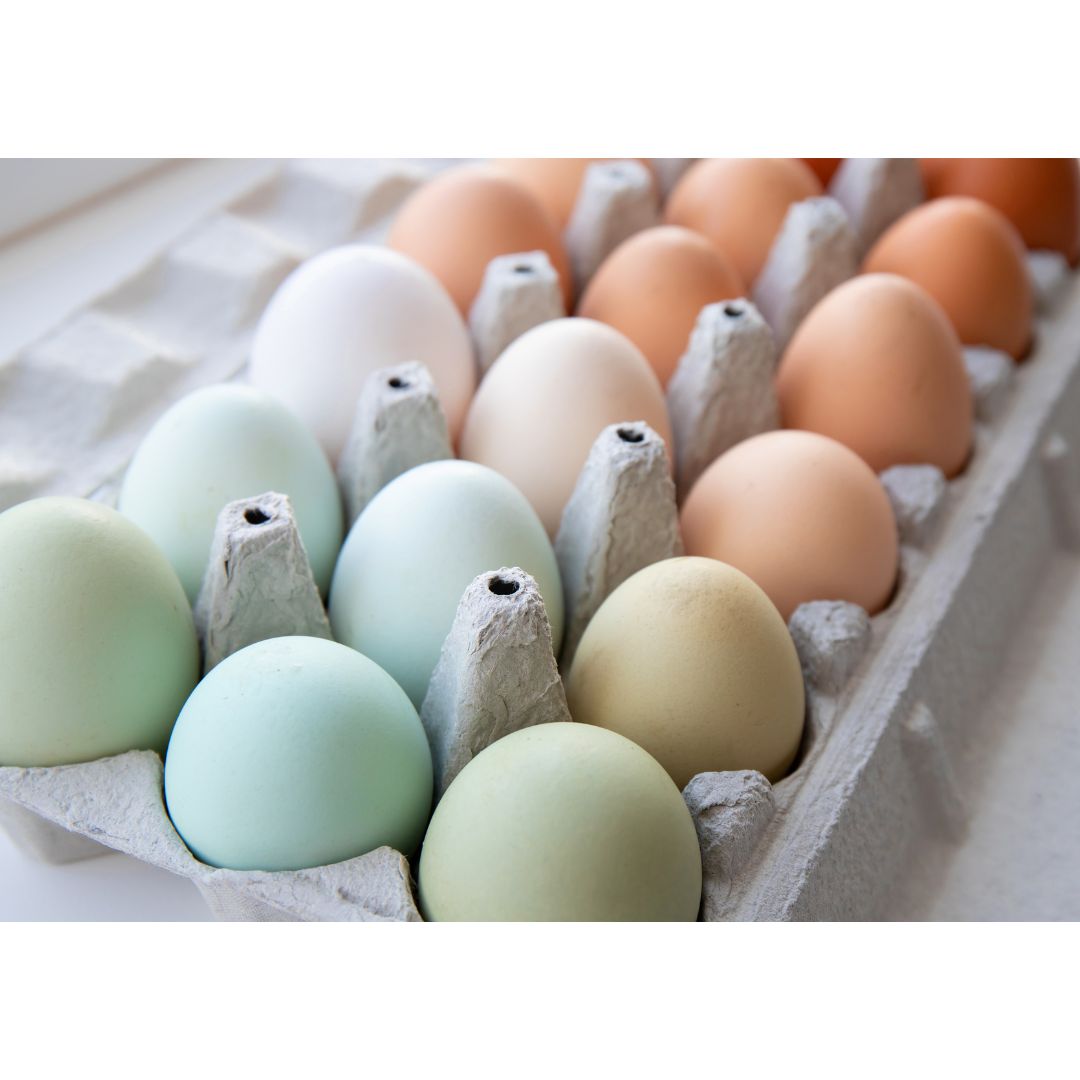 There is no nutritional difference between different colored eggs.