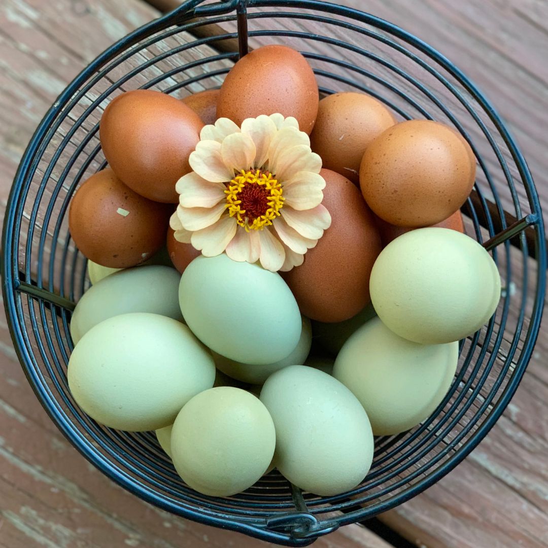 Colorful eggs in a black basket
