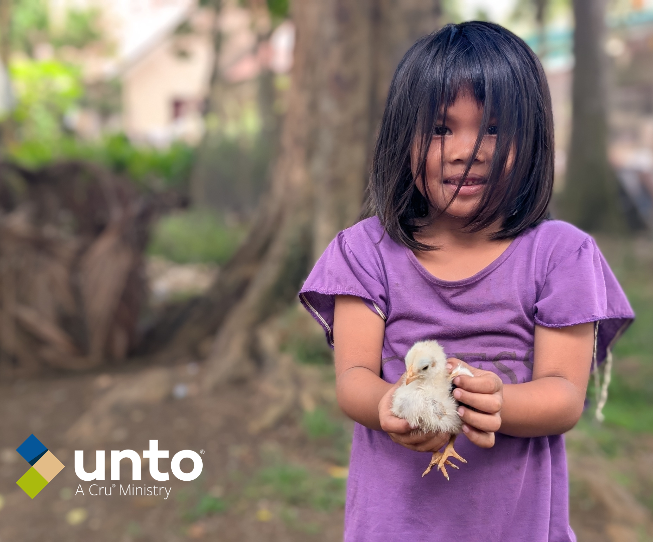 Small Flock, Big Impact: How Chickens Are Changing Lives Around the Wo