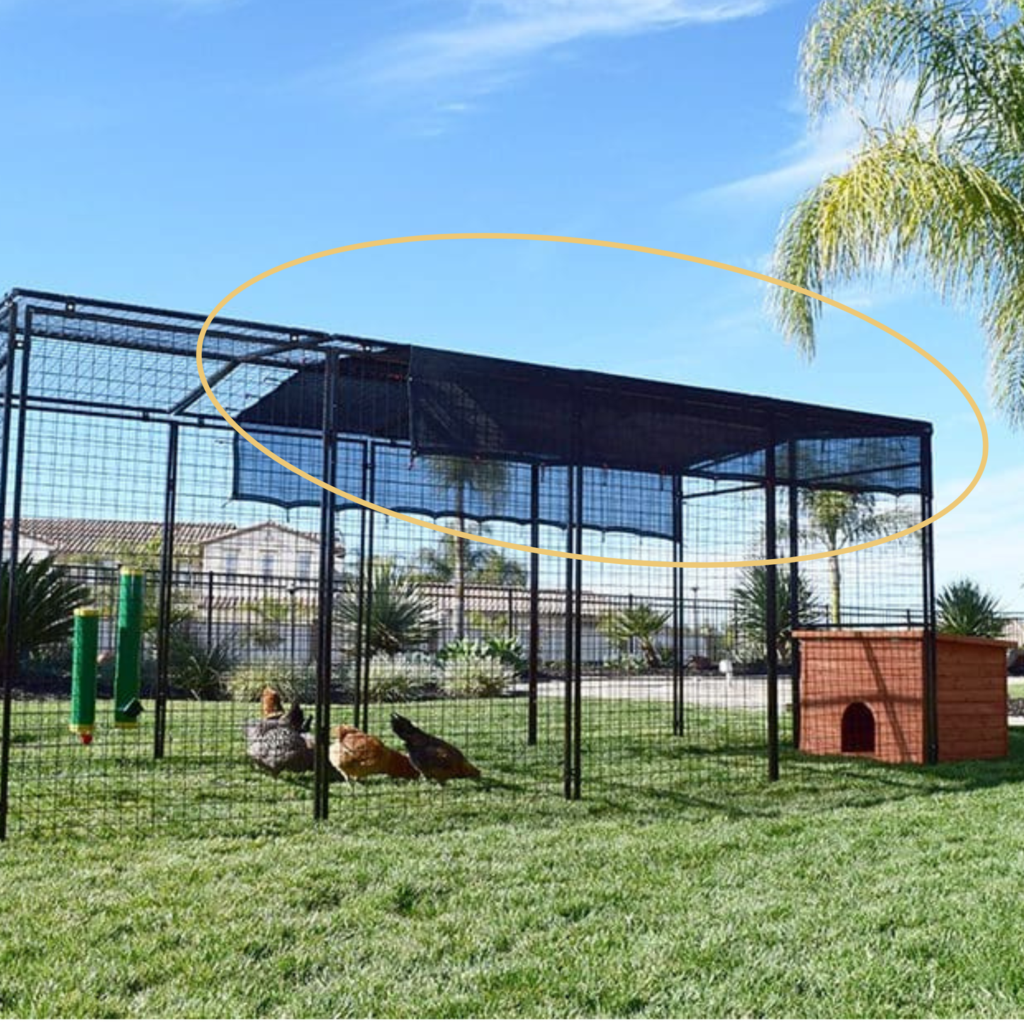 Rugged Ranch 10'x10' Shade Top