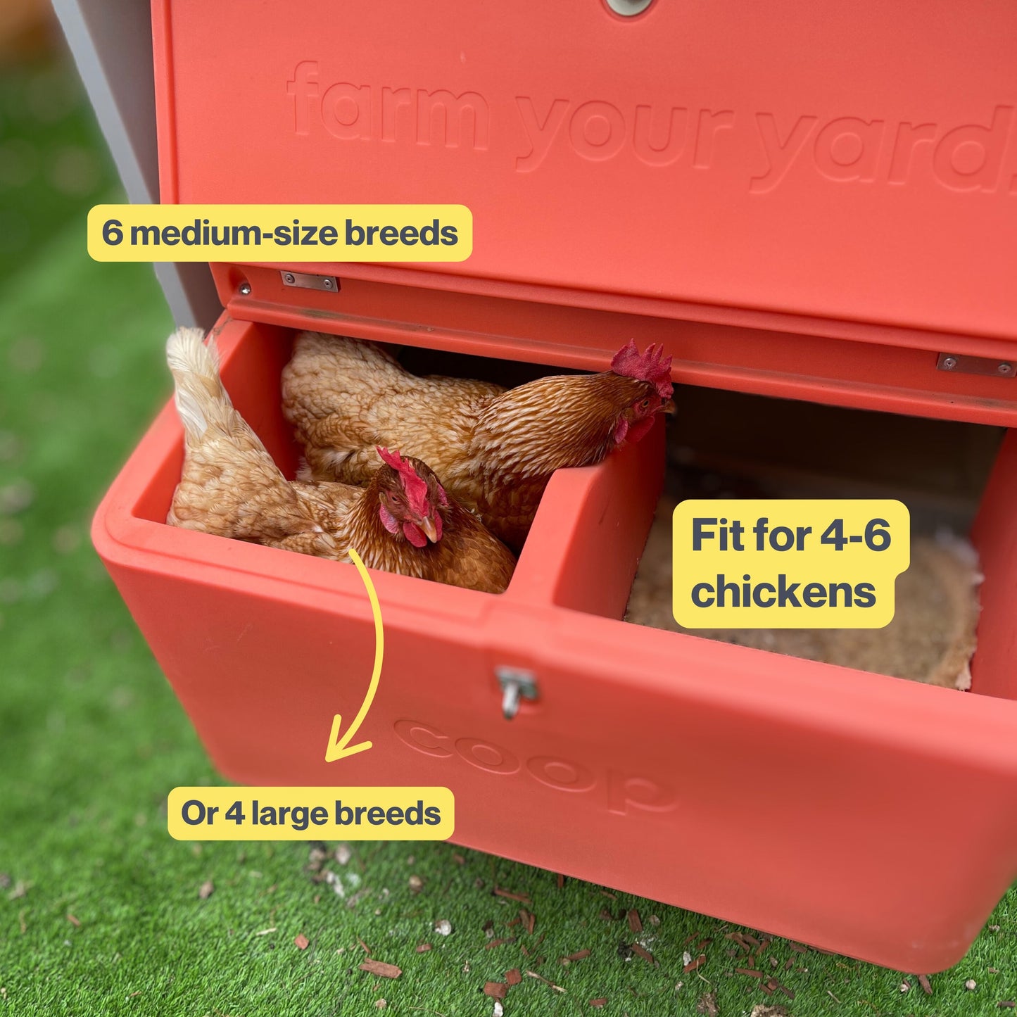 The Smart Coop + Extended Range Run (4-6 chickens)