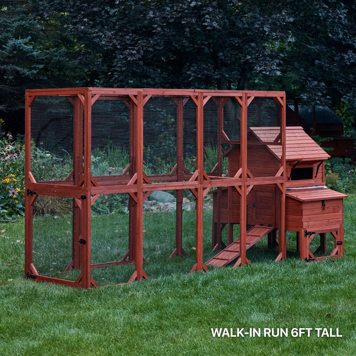Orpington Lodge Chicken Coop + Optional Run (4-6 chickens)