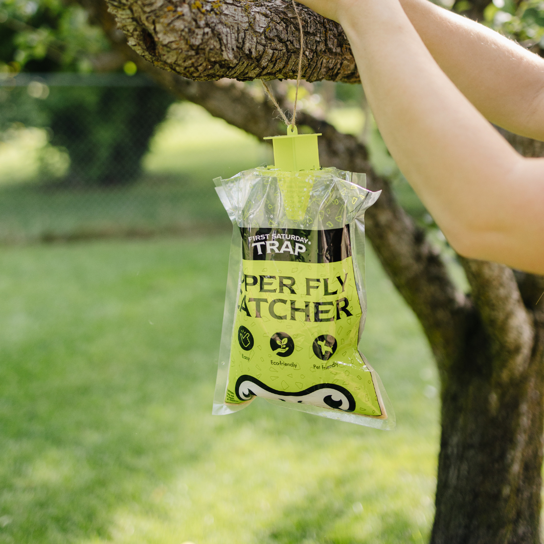 First Saturday Lime Buzz Off Bundle