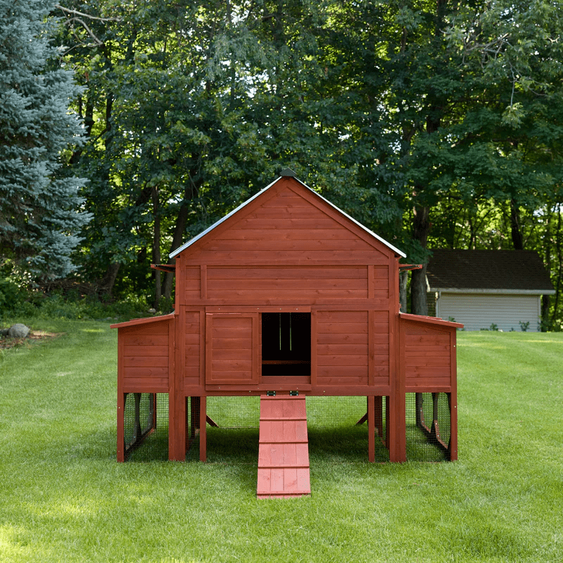 Brahma Chicken Coop + Optional Run (15-18 chickens)