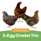 Pullet: 3-Egg Omelet Trio (3 Started Pullets), Shipping Week of